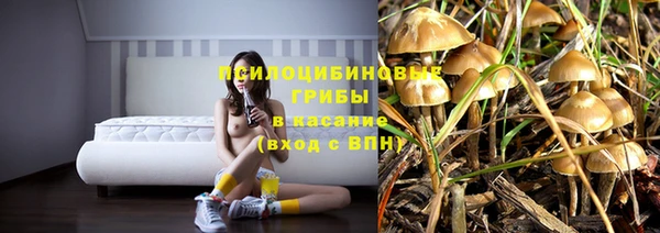 jwh Абаза